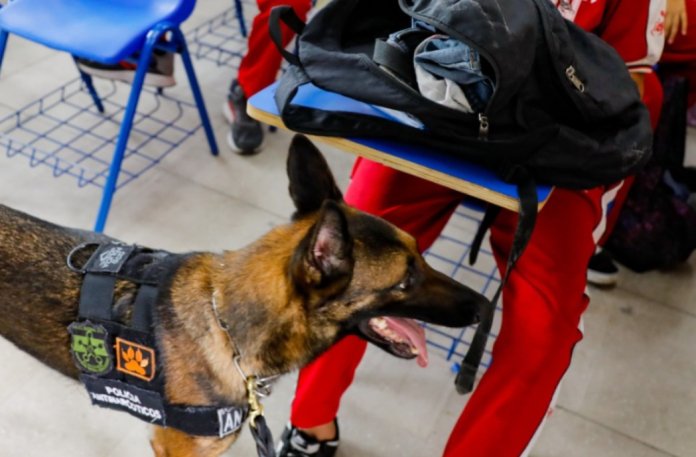 WhatsApp Image 2024-09-20 at 11.24.59 AM