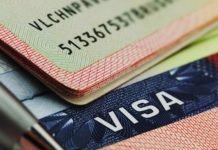 EE. UU. revoca más de 100,000 visas en 2025 tras refuerzo en controles para estudiantes y trabajadores especializados