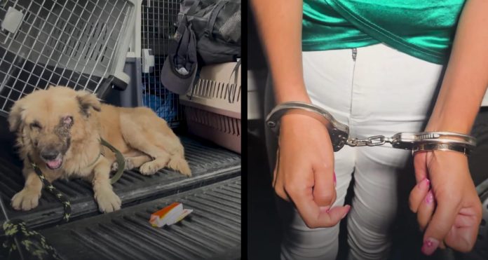 41372b7f-f5a1-4d00-9b44-8eab658642dd