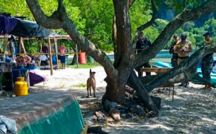 Captura de pantalla 2024-10-27 164118