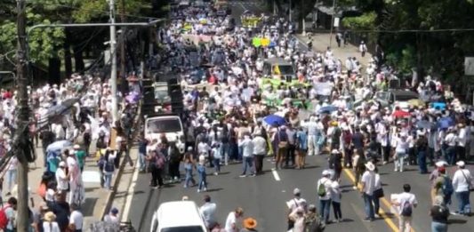 "Marcha blanca" de docentes y personal de salud, ante congelamiento de escalafón comprendido en el Anteproyecto de Presupuesto General del Estado 2025. Foto: YSKL.