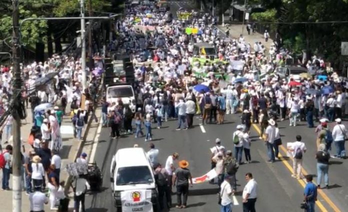 "Marcha blanca" de docentes y personal de salud, ante congelamiento de escalafón comprendido en el Anteproyecto de Presupuesto General del Estado 2025. Foto: YSKL. "Marcha blanca" de docentes y personal de salud, ante congelamiento de escalafón comprendido en el Anteproyecto de Presupuesto General del Estado 2025. Foto: YSKL.