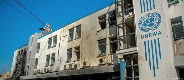 WhatsApp Image 2024-10-29 at 8.24.50 AM (4)