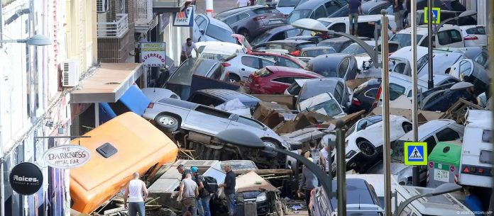 WhatsApp Image 2024-10-31 at 7.38.45 AM