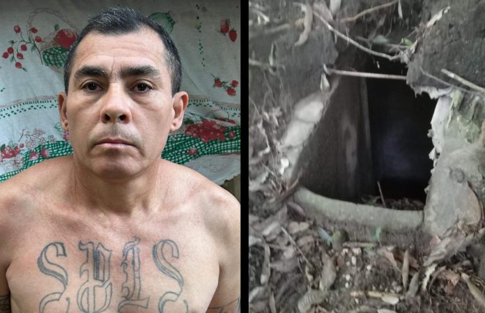 a3aafeca-484a-4b16-abd1-1283916c0ba0