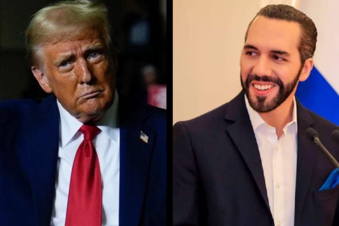 1bcfc2e7-ad2a-48e3-a9c0-95fe4a57fd73