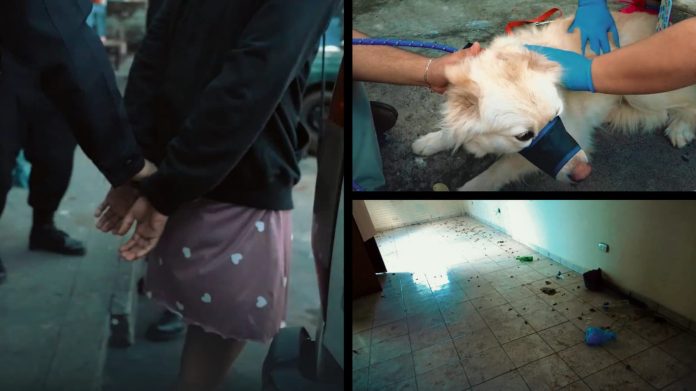 Foto: Cortesía. Foto: Cortesía.