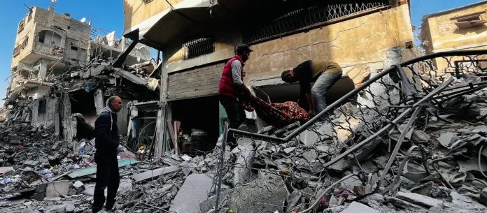 WhatsApp Image 2024-11-05 at 7.16.28 AM (2)