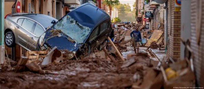 WhatsApp Image 2024-11-05 at 7.16.28 AM (8)