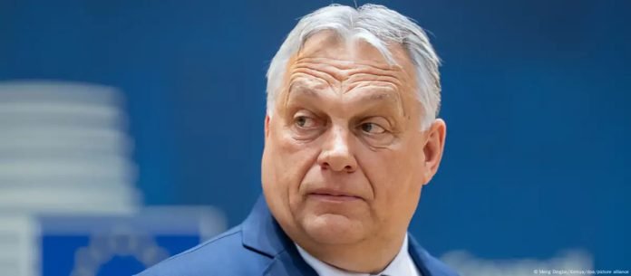 WhatsApp Image 2024-11-22 at 7.11.50 AM (1)