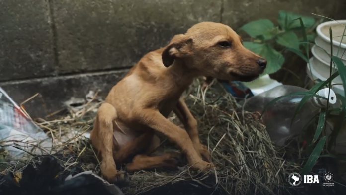 WhatsApp Image 2024-12-06 at 3.26.04 PM