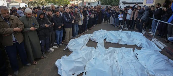 WhatsApp Image 2024-12-13 at 6.54.05 AM (7)