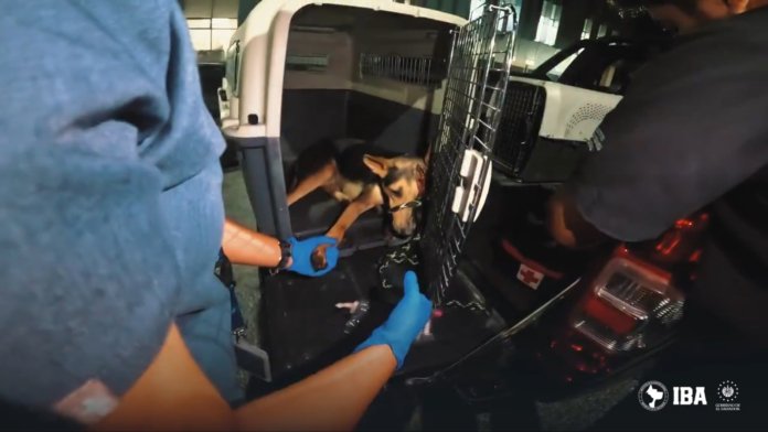 WhatsApp Image 2024-12-17 at 3.46.22 PM