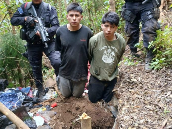 f6bd4889-fb8d-4382-bc79-b59d21a6d241