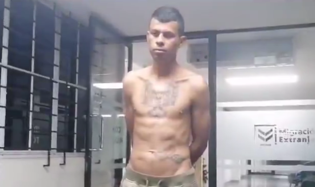 Captura de pantalla 2025-01-12 113427