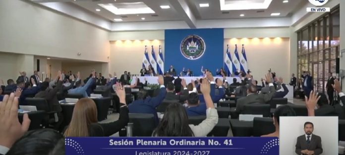 Captura de pantalla de la transmisión de la Plenaria N° 41. Captura de pantalla de la transmisión de la Plenaria N° 41, el 29 de enero de 2025.