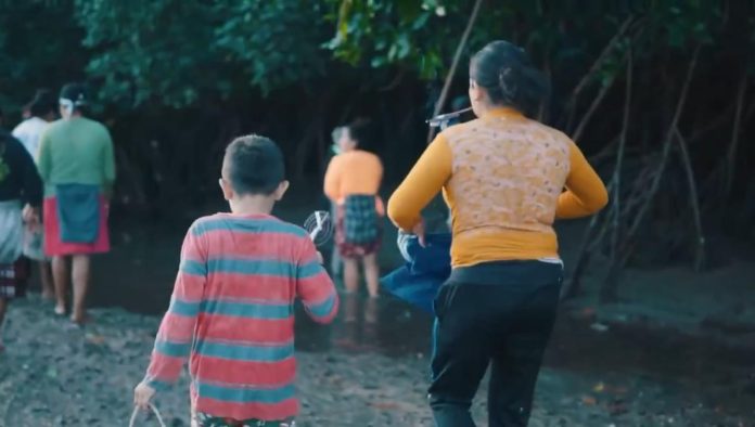 Trabajo infantil en manglares de El Salvador. Foto: Cortesía.