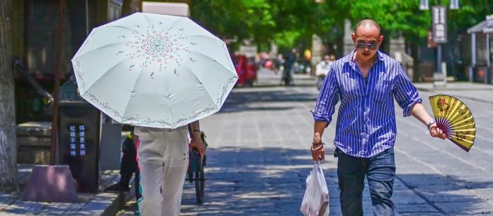 WhatsApp Image 2025-01-02 at 2.16.23 PM (6)