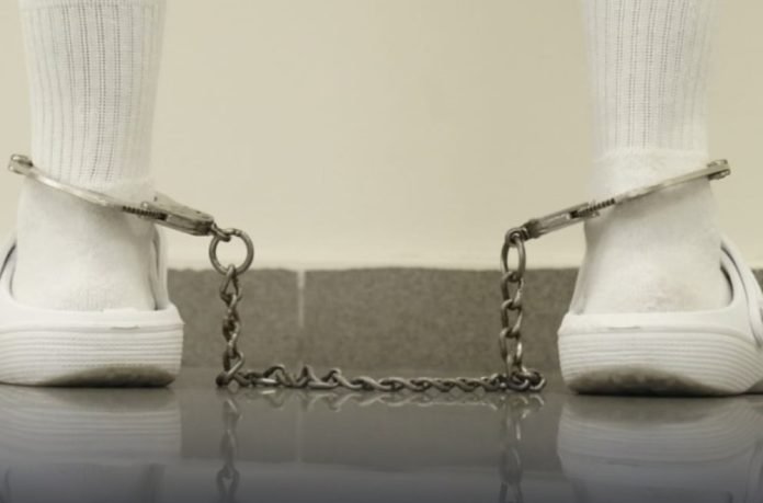 WhatsApp Image 2025-01-03 at 3.37.55 PM