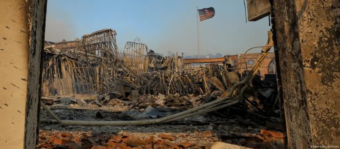 WhatsApp Image 2025-01-09 at 1.23.30 PM