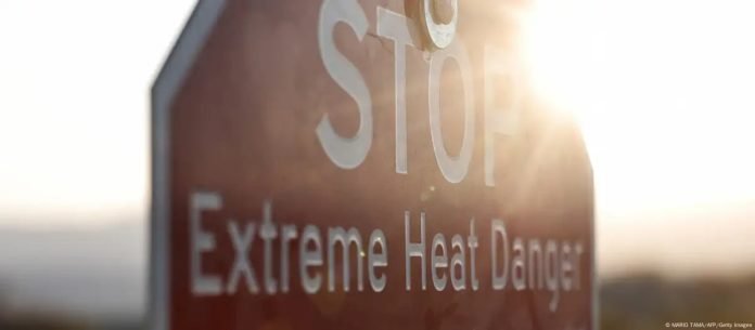 WhatsApp Image 2025-01-10 at 6.49.15 AM (3)