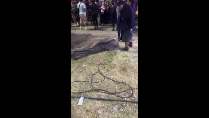 WhatsApp Image 2025-02-03 at 8.39.15 AM