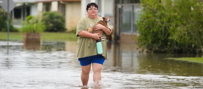 WhatsApp Image 2025-02-04 at 6.46.38 AM (5)