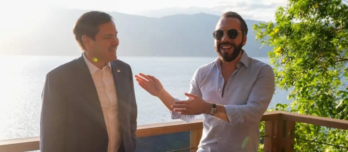 WhatsApp Image 2025-02-05 at 8.51.26 AM (9)