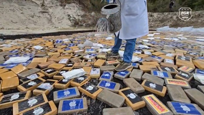 WhatsApp Image 2025-02-21 at 4.14.13 PM