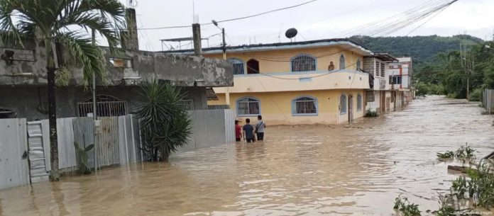 WhatsApp Image 2025-02-25 at 8.20.00 AM (8)