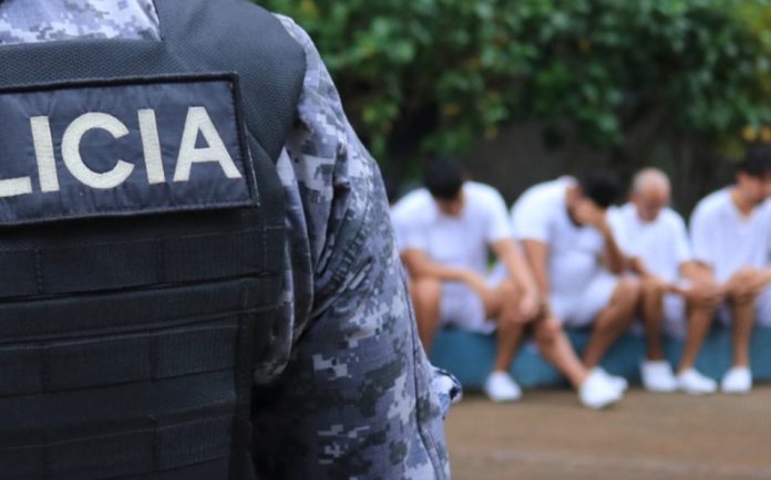 WhatsApp Image 2025-03-04 at 12.16.29 PM