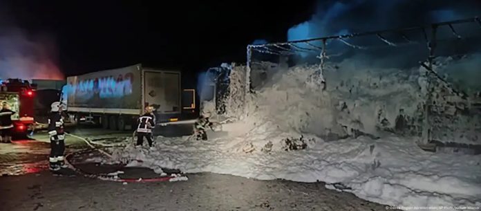 WhatsApp Image 2025-03-12 at 12.31.16 PM (8)