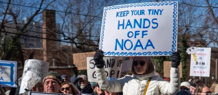 WhatsApp Image 2025-03-14 at 3.14.41 PM (1)