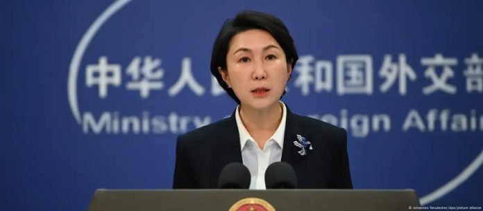 WhatsApp Image 2025-03-20 at 10.23.58 AM (6)