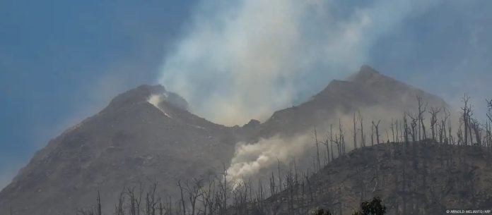 WhatsApp Image 2025-03-21 at 12.40.48 PM (6)