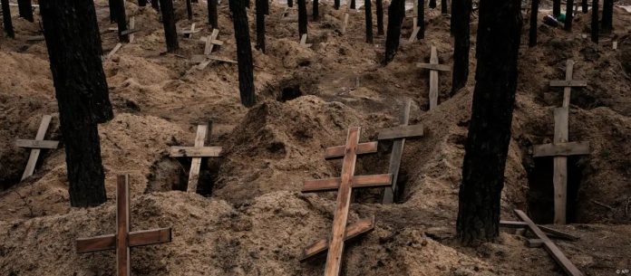 WhatsApp Image 2025-03-28 at 2.01.30 PM (1)