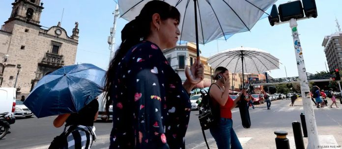 WhatsApp Image 2025-03-31 at 6.32.36 AM (6)