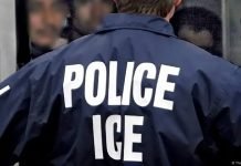 ¿ICE pasará a llamarse NICE? Trump promueve cambio simbólico, pero reforma dependería del Congreso