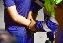 Más de 50 detenidos por conducción peligrosa durante la temporada navideña