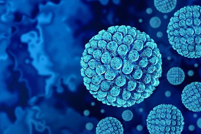 Ilustración del norovirus, una enfermedad altamente contagiosa.