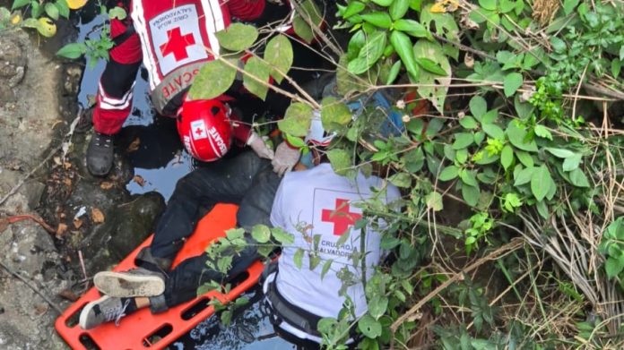 WhatsApp Image 2025-04-01 at 1.18.21 PM