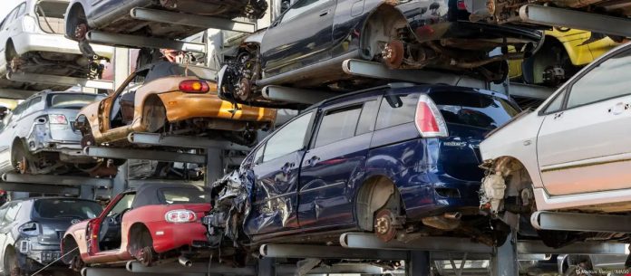 WhatsApp Image 2025-04-01 at 11.06.30 AM (2)