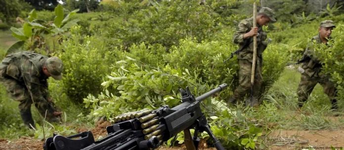 WhatsApp Image 2025-04-20 at 2.00.01 PM (10)