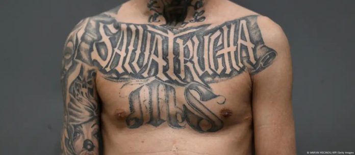 WhatsApp Image 2025-04-22 at 7.59.36 AM (8)