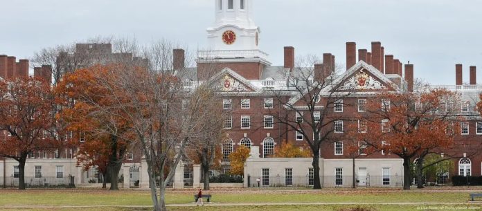 WhatsApp Image 2025-04-22 at 7.59.36 AM (9)