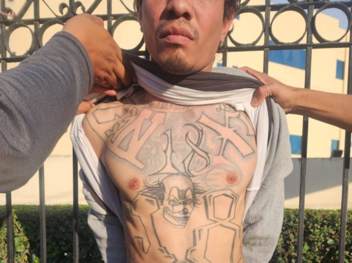 WhatsApp Image 2025-04-28 at 8.34.58 PM