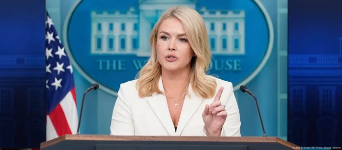 WhatsApp Image 2025-04-29 at 12.42.40 PM (13)