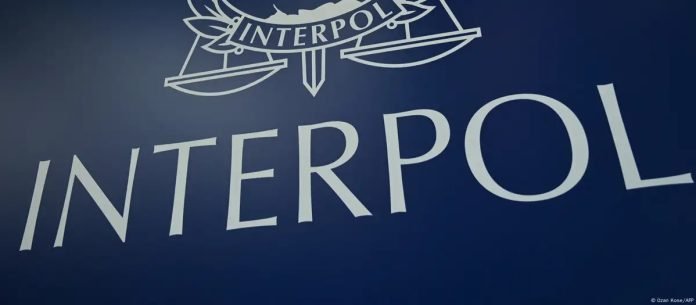 WhatsApp Image 2025-04-30 at 8.11.03 AM (1)