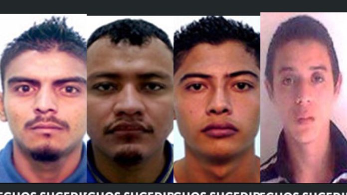 WhatsApp Image 2025-05-13 at 2.14.23 PM