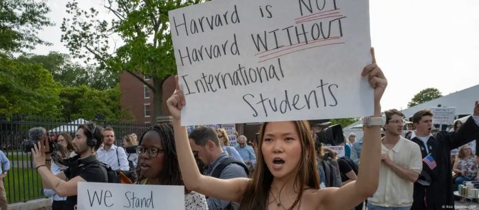 WhatsApp Image 2025-05-29 at 2.09.50 PM (3)